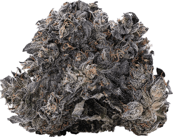Mnt Diesel